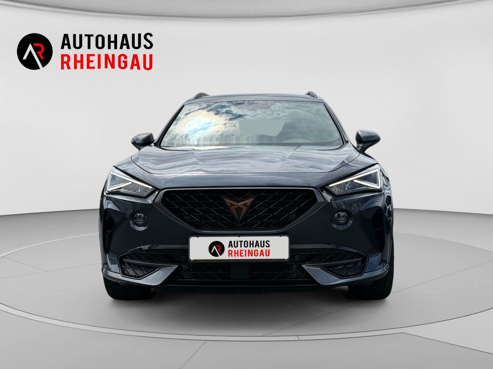 Fahrzeugabbildung CUPRA Formentor 2,0 TDI 4Drive DSG ACC RFK MEMORY