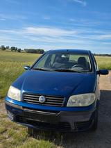 Fiat Punto 1.2 8V Dynamic Dynamic - Fiat Punto aus 2004: 1.2