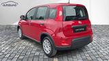 Fiat Panda 1,0 Hybrid (MHEV) Pandina Base DAB MFL PDC - Fiat Gebrauchtwagen in Augsburg