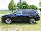 Subaru Forester 2.0 ie 100 kW AWD Platinum H/K LED 360° - Subaru Forester: Allradantrieb
