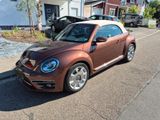 Volkswagen Beetle 1.4 TSI DSG BMT Exclusive Design Cabr...