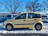 Fiat Panda 1.1 8V Active Allwetter/1.Hand/TÜV neu - Fiat Panda Active mit Benzin-Antrieb