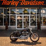 Harley-Davidson XL1200C Sportster 1200 Custom - HARLEY-DAVIDSON 2008 SPORTSTER 1200
