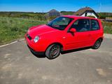 Volkswagen Lupo 1.4 - Volkswagen Lupo: Rot