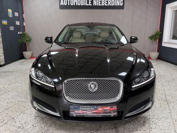 Jaguar XF - 5
