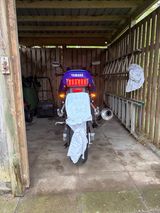 Yamaha FZS 600 2003 Unfallfrei  - YAMAHA 200