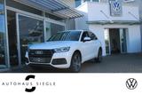 Audi Q5 40 2.0 TDI quattro sport S-tronic Leder/Alc.  - Audi Q5 Gebrauchtwagen in Stuttgart
