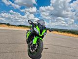 Kawasaki Ninja ZX-10R  - KAWASAKI NINJA ZX10R