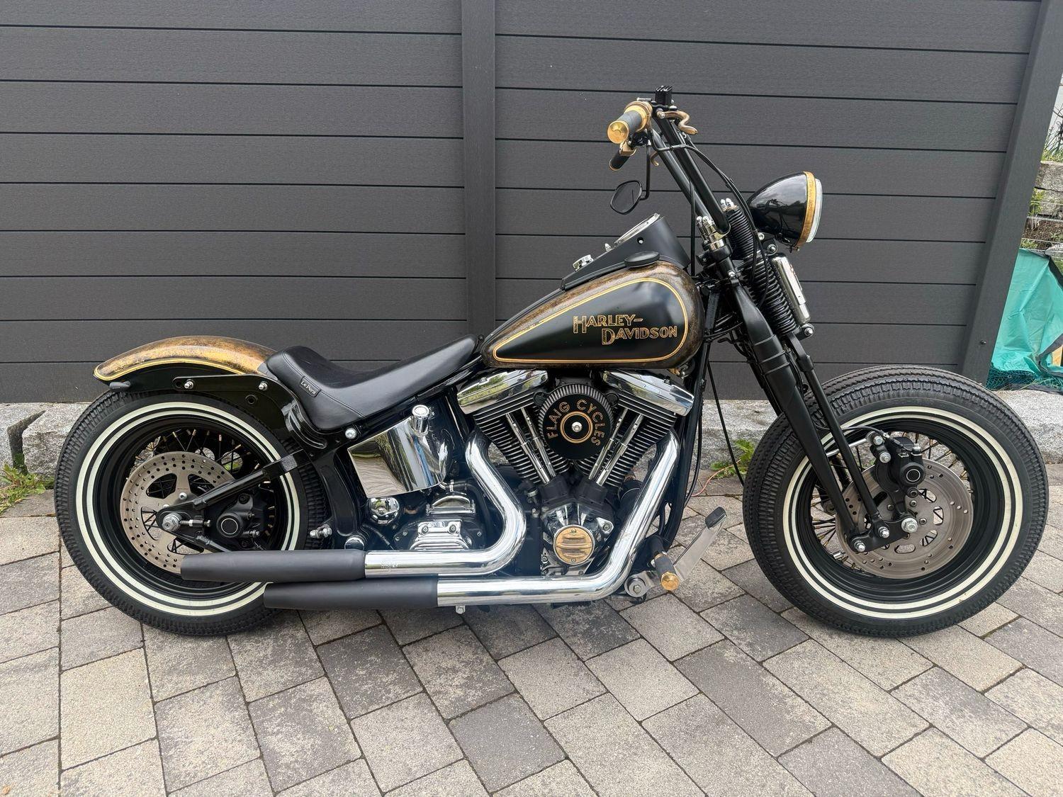 Harley-Davidson Softail Custom Springer