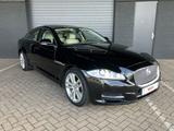 Jaguar XJ 3.0 V6D Portfolio VOLL !! - Jaguar XJ: Portfolio