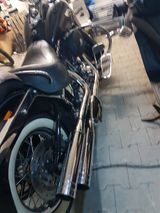 Harley-Davidson Softail Deluxe mit Zertifikat  - CHOPPER SOFTAIL