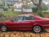 BMW E39 523i  Klassischer 5er mit Charme ... - BMW aus 2000: 3er