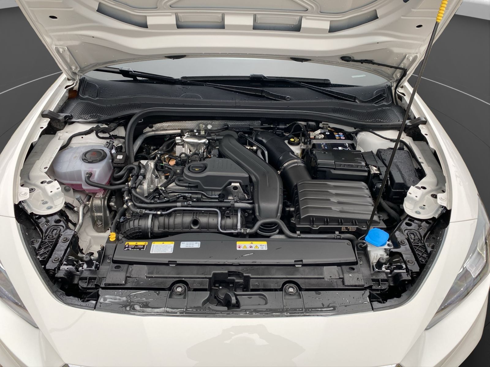 Seat Leon - Bild 21