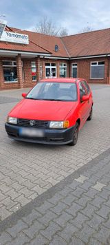 Volkswagen VW Polo 6N | TÜV, fahrbereit, günstiges St... - Volkswagen Polo aus 1995