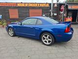 Ford SVT Mustang cobra terminator. unfallfrei.  - gebrauchte Ford Mustang aus dem Jahr 2003