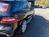 Mercedes-Benz ML 350 BlueTEC 4MATIC - AMG-Line - Mercedes-Benz ML 350: AMG