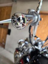 Kawasaki VN1500 Classic /Mexican Style - Angebote