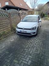 Volkswagen Golf 1.6 TDI SCR Trendline Variant Trendline - Volkswagen Golf: Trendline TDI