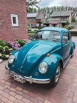 Volkswagen Kever oldtimer , Kafer 1965 - VW Gebrauchtwagen von 1965