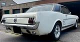 Ford Mustang - Ford Mustang aus 1966: Coupe