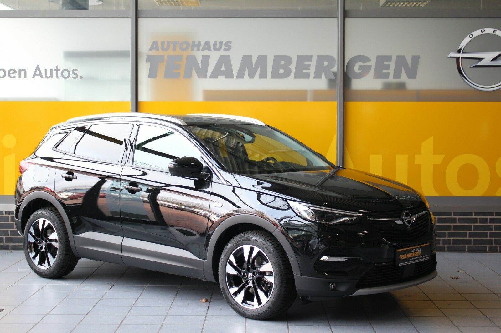 Opel Grandland X Ultimate Leder 360°Kamera DAB