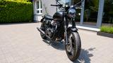 Triumph Bonneville T120 ACE Café, 5.600 km, 590/1400 - TRIUMPH BONNEVILLE