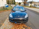 Porsche Cayenne Diesel - - Porsche Cayenne aus 2011 mit Diesel-Antrieb