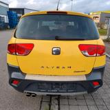 Seat Altea Freetrack 4 (Allrad)  Top Zust... - Seat Altea: Freetrack