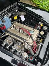 Alfa Romeo Giulia Spider 1600 - Alfa Romeo Spider 1600 Gebrauchtwagen