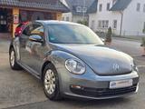 Volkswagen Beetle Lim. Basis BMT !! Top Zustand  - Garantie - Volkswagen Beetle: Sportwagen