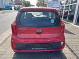 Kia Picanto Edition 7+Klima+Tüv Neu+Garantie+2 HD - Kia Picanto mit 3 Türen