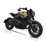BMW R nineT / R9T Pure - Singer - NEU - BMW R NINE T PURE