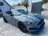 Ford Mustang 5.0 V8 Shelby gt 350 - Ford Mustang: Shelby Gt350