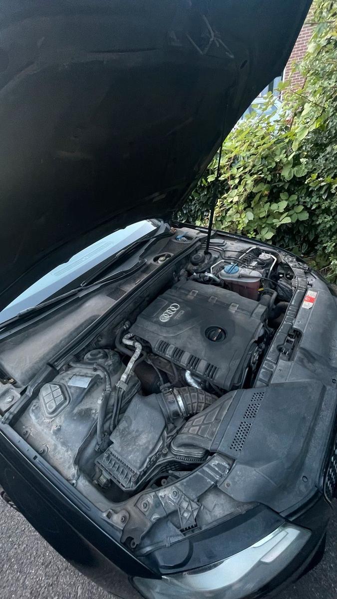 Audi A4 2008 — photo 7