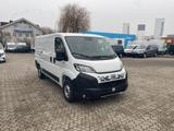 Fiat Ducato 33 L2H1 CarPlay RüKa 260Grad Türen Klima - Fiat Ducato Neuwagen