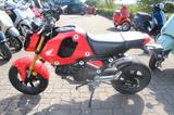 Honda MSX 125 Gron - HONDA MSX