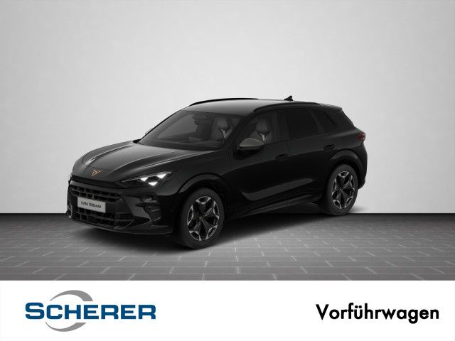 Image of Cupra Terramar