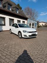 Volkswagen VW Golf 7 IV 1.2TSI Cup Edition - Volkswagen Golf: Edition Iv