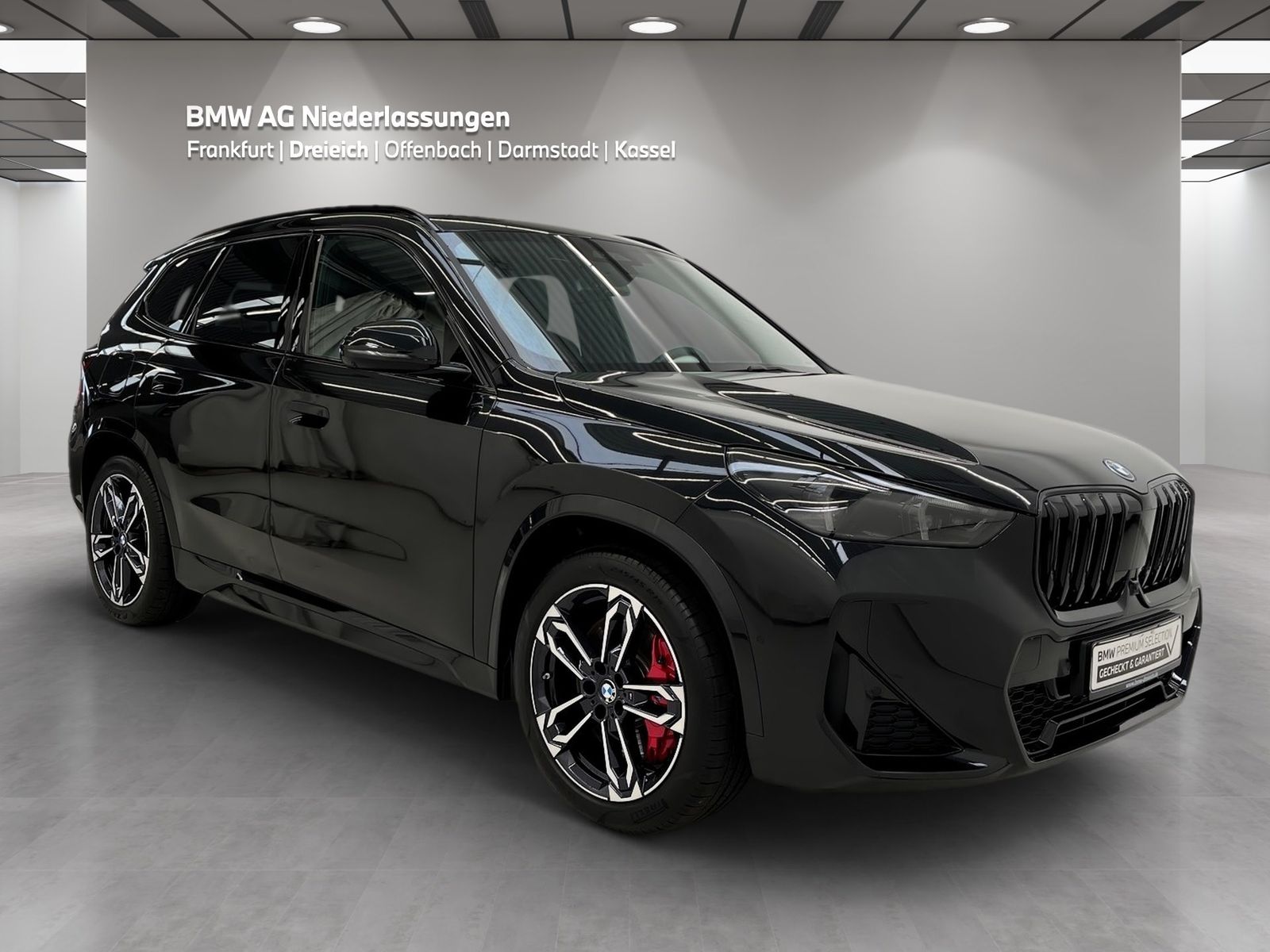 BMW X1 xDrive30e M Sport AHK Driv.Assist.Prof LED foto 3