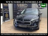 Skoda Octavia Combi TDI DSG SELECTION LODGE *360*AHK* - Skoda Octavia: Kombi
