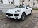 Porsche Cayenne S S - Porsche in Gelsenkirchen