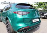 Alfa Romeo Stelvio Quadrifoglio V6 Bi-turbo TechnikP. Sport - Alfa Romeo in Berlin