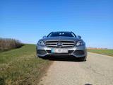 Mercedes-Benz Mercedes C200 CDI Kombi  - sehr sparsam - Mercedes-Benz C 200: Se