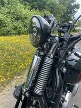 Harley-Davidson FLSTSB Cross Bones EU 5HD 2 HD SOFTAIL SPRINGER - HARLEY-DAVIDSON SPRINGER SOFTAIL