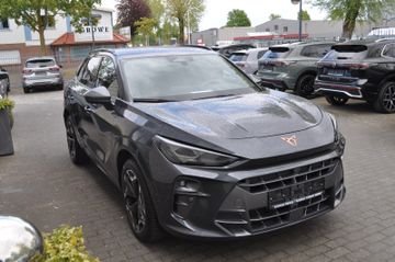 Cupra Terramar - 6