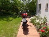 Ducati Multistrada 950 Touring, Koffer, Tieferlegung - DUCATI MULTISTRADA 950