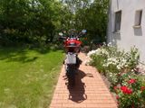 Ducati Multistrada 950 Touring, Koffer, Tieferlegung - Angebote entsprechen deinen Suchkriterien