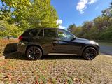 BMW X5 xDrive40d -7 Sitzer Standh. Head Up Pano AHK - BMW X5: Sitze