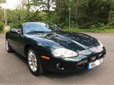 Jaguar XKR X100 Cabriolet - Top - wenig KM - Jaguar Gebrauchtwagen von 1998
