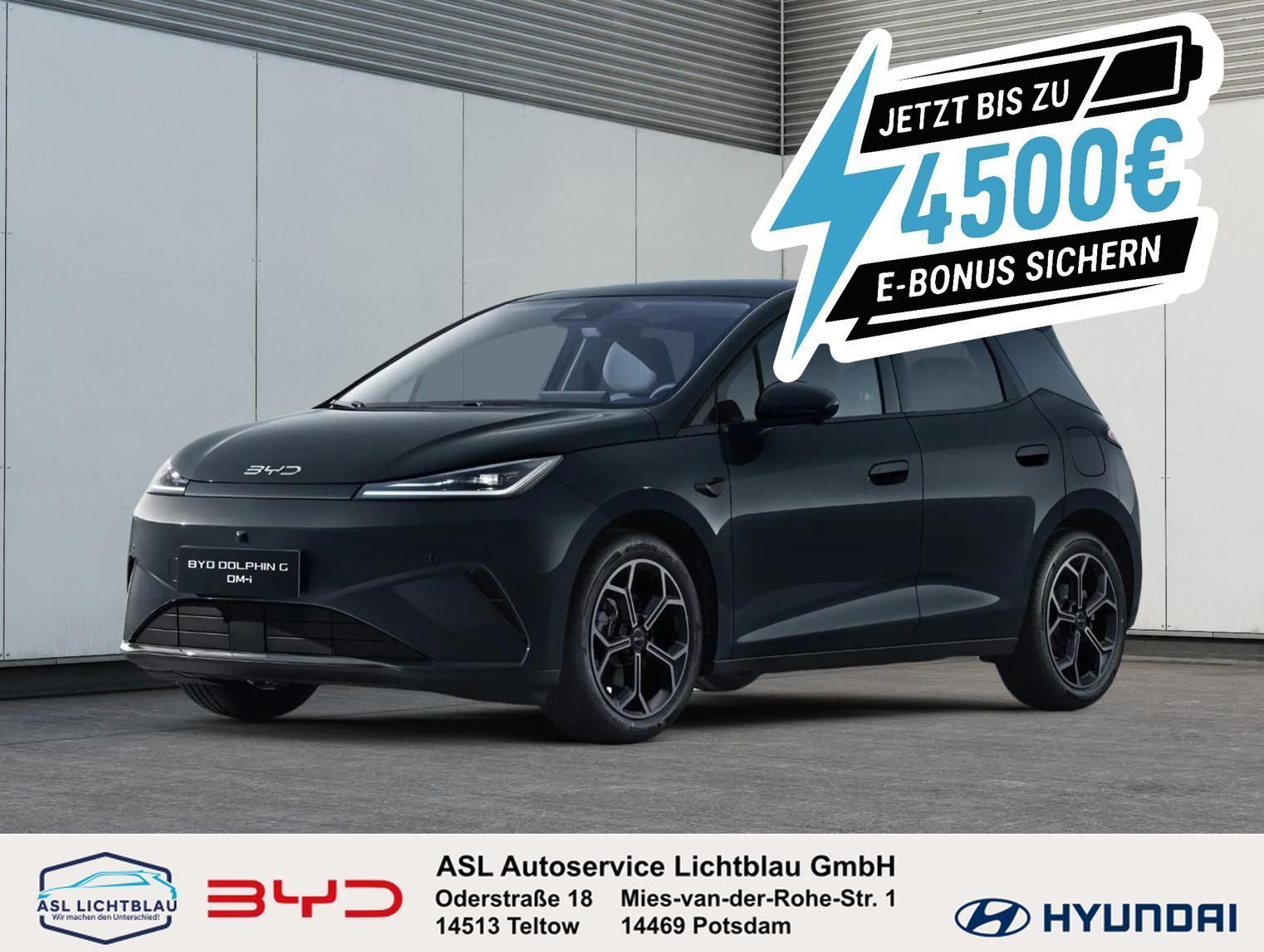 BYD DOLPHIN